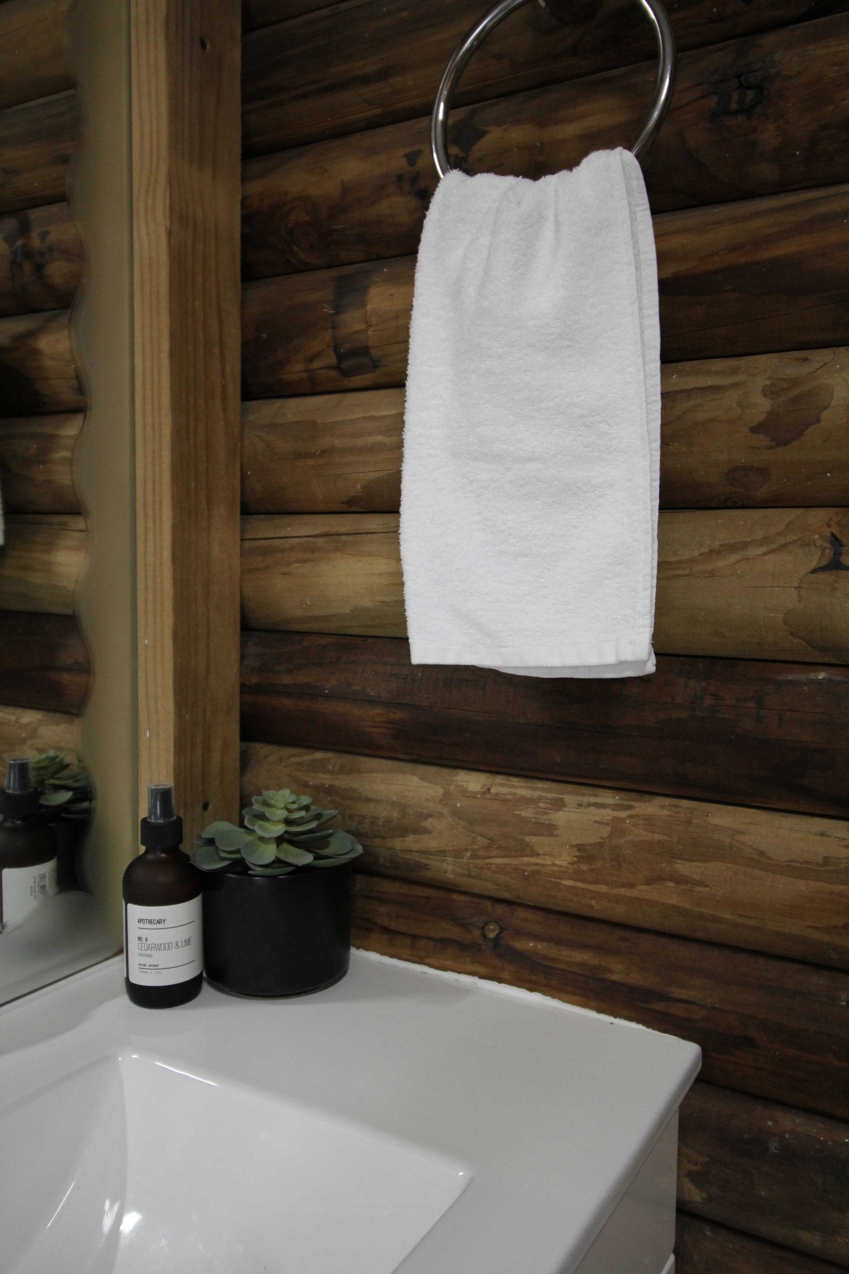 Hand soap and decorative succulent plant in bathroom with hand towel hanging above on the bathroom sink