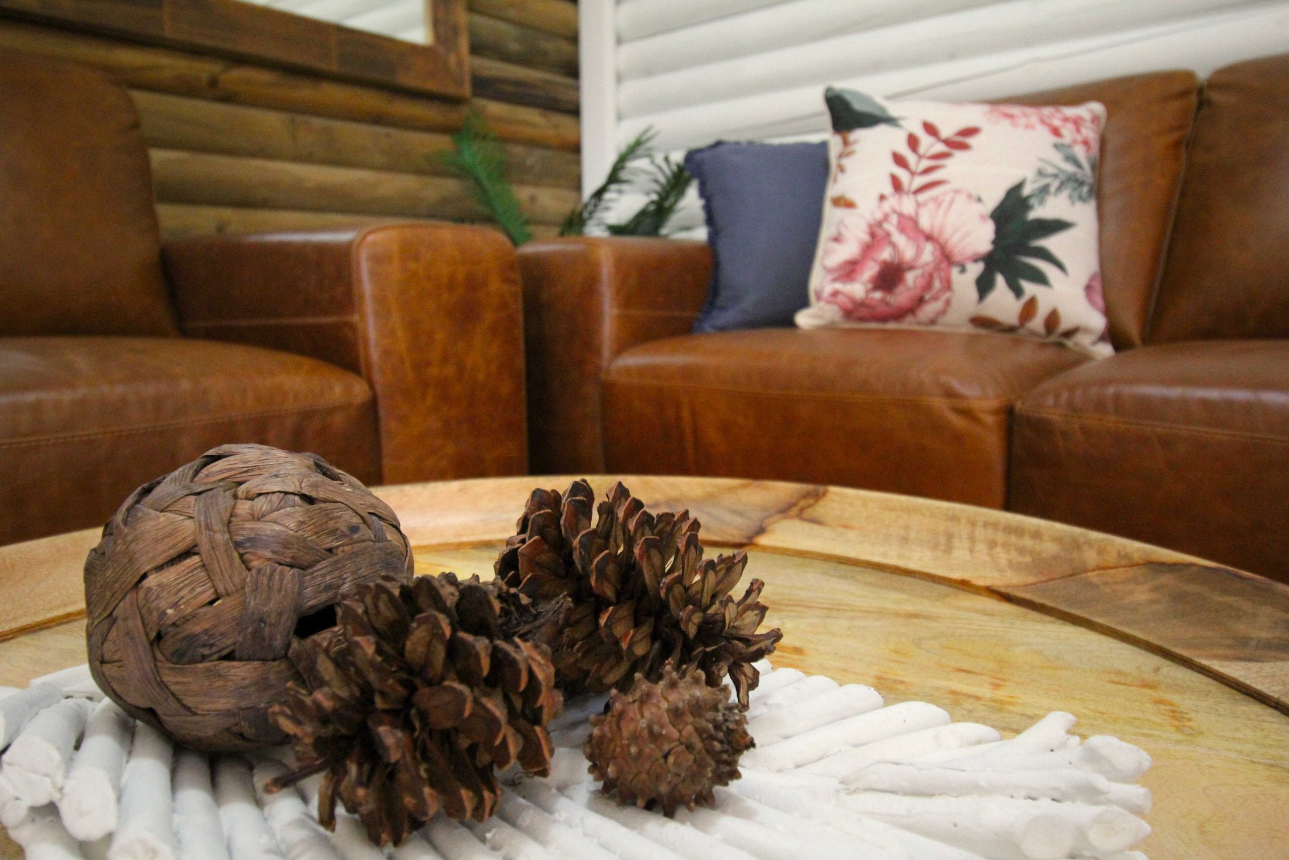 Decorative pinecones on a coffee table with leather couches in the background