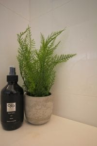 Small pot plant and hand soap in the corner of the bathroom