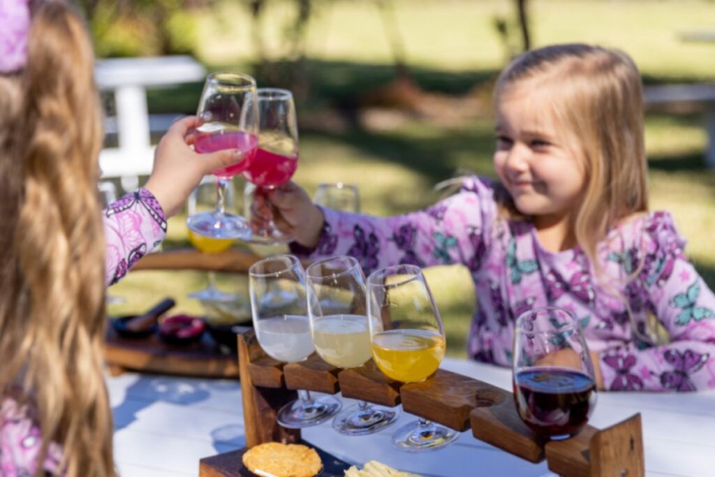 Saddlers creek child friendly cellar door 1