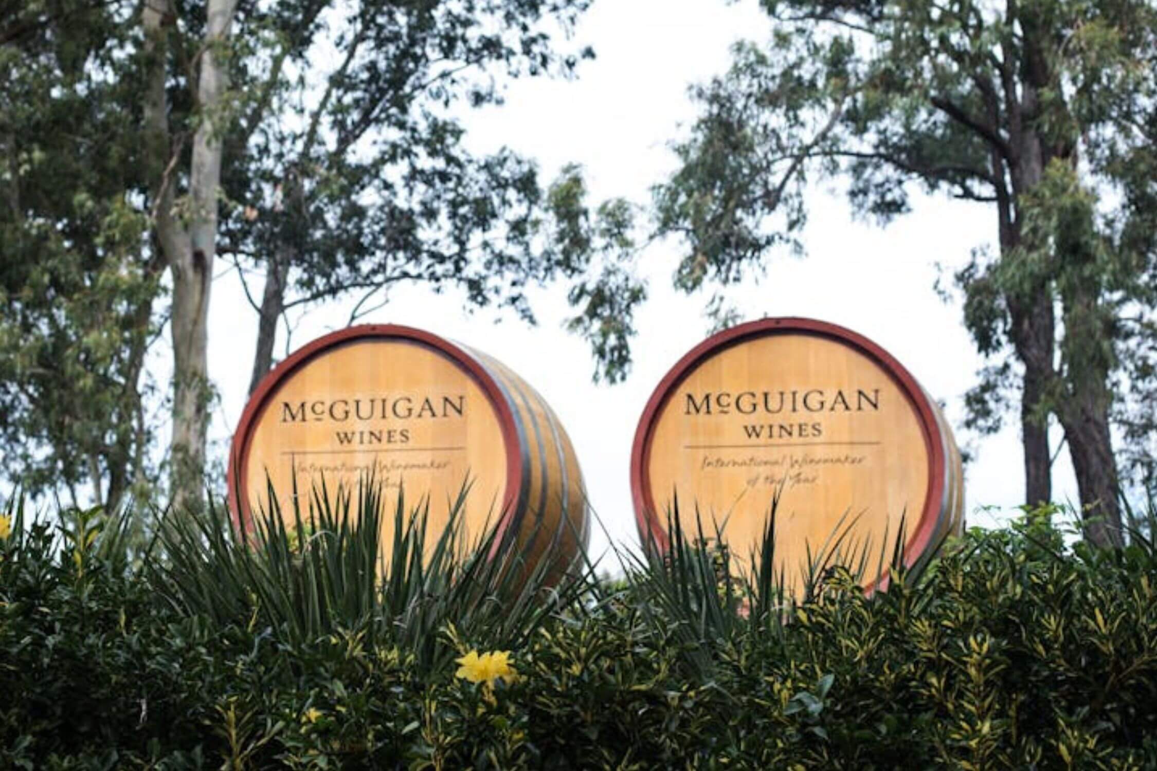 Mcguigan wines group wine tastings